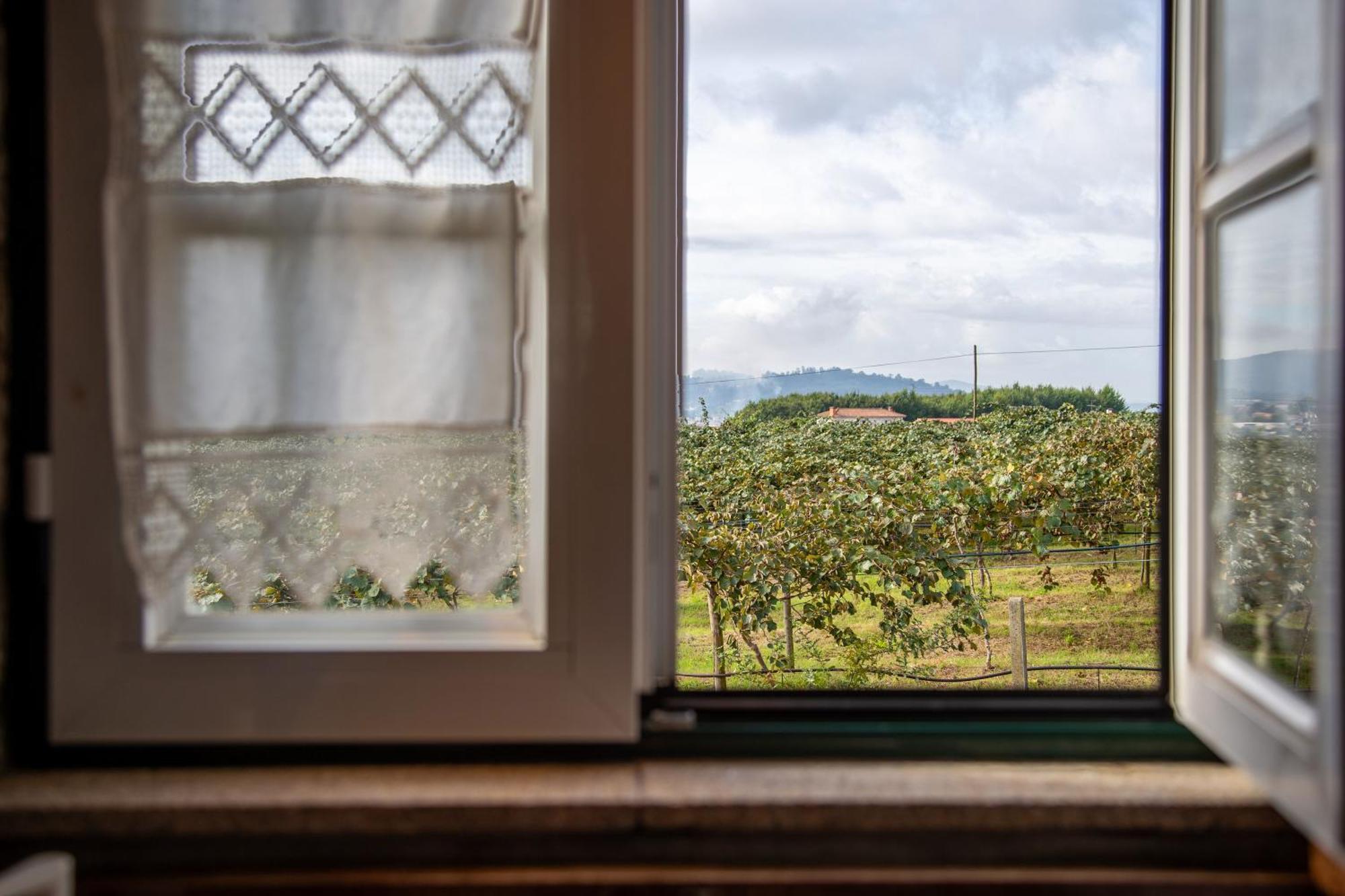 Quinta Do Carvalhal Alojamento, Penafiel Irivo Εξωτερικό φωτογραφία